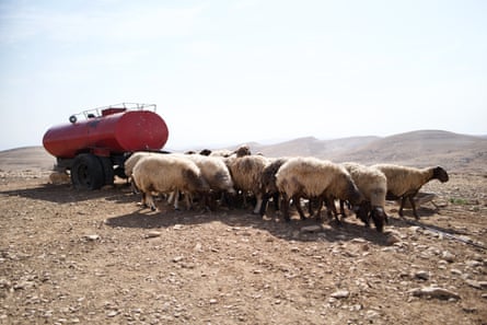 sheep and a water tanker on a desert hiltop