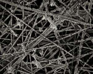Carbon paper substrate that looks like straight ice crystals