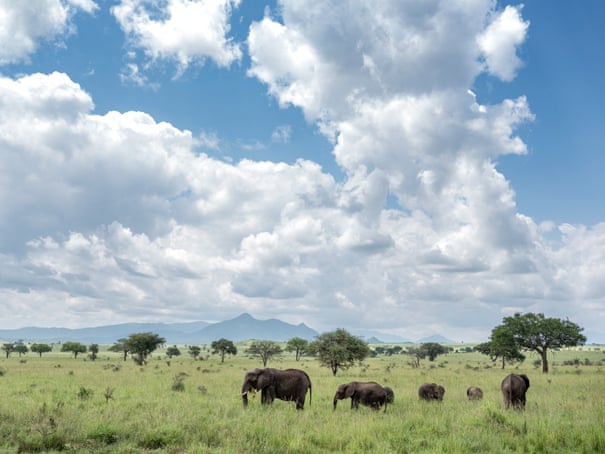 'You will never run from death': shot by poachers in Uganda 7166