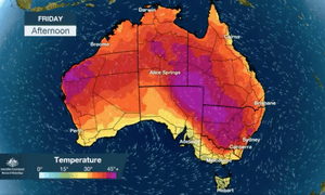January Was Australia S Hottest Month Since Records Began Australia News The Guardian