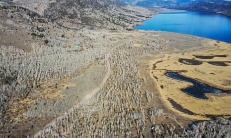 An aerial view of Pando 