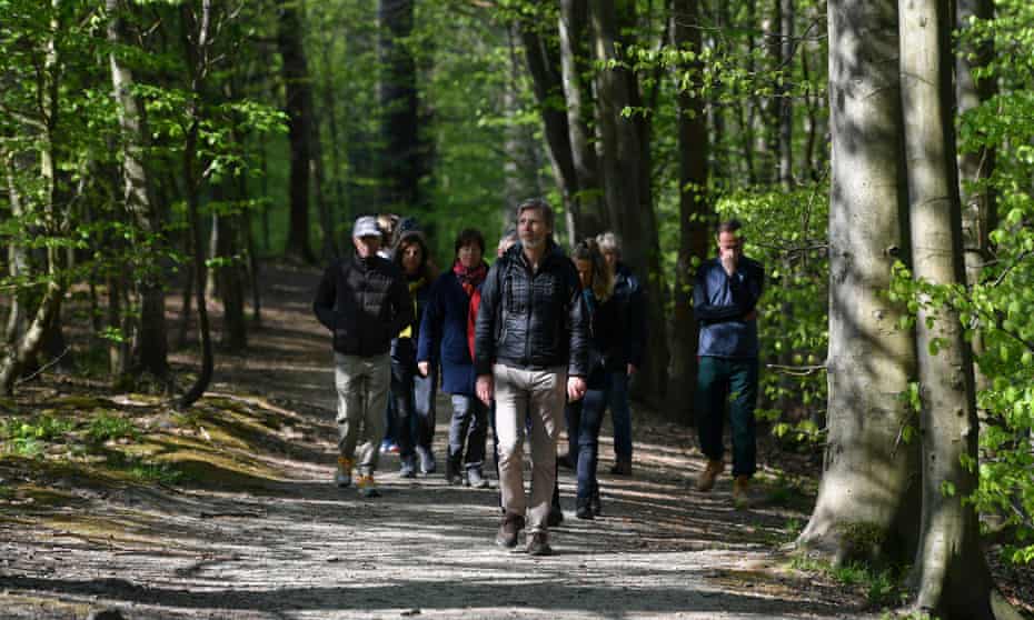 EU officials from various departments walking in a forest near Brussels, led by Jeroen Janss, who runs the mindfulness course.