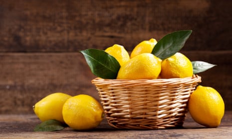 A lemon with leaves is more than mere affectation – it gives you an idea of how long ago your fruit was picked.