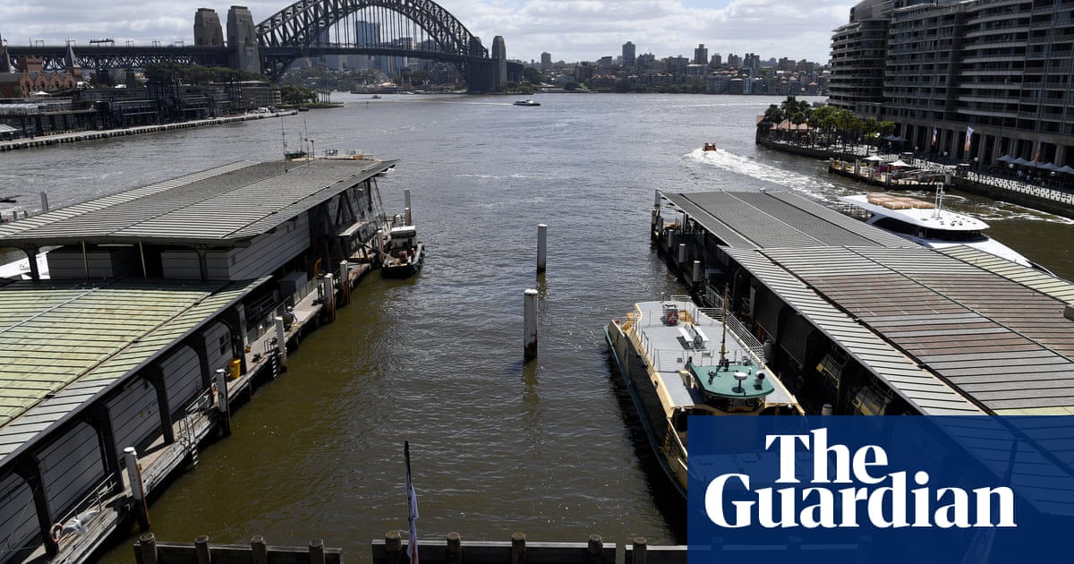 Sydney Harbour turns brown as authorities warn against swimming after floods