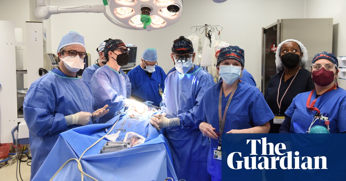 Why pig-to-human heart transplant is for now only a last resort