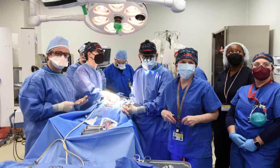 The team that operated a successful transplant of a genetically-modified pig heart.