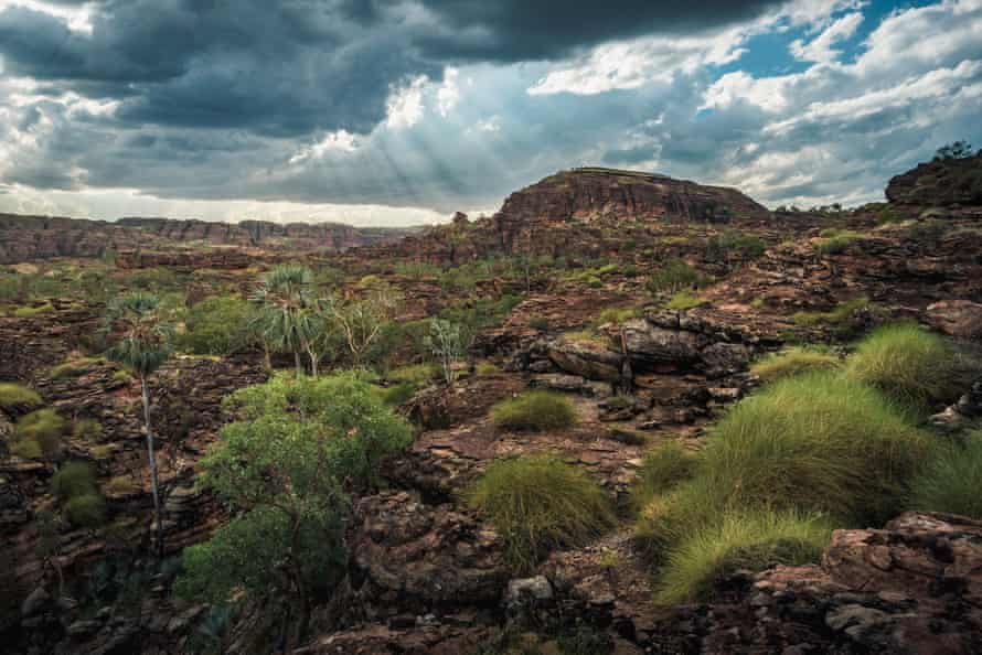 Goorrandalng at Keep River National Park, Northern Territory