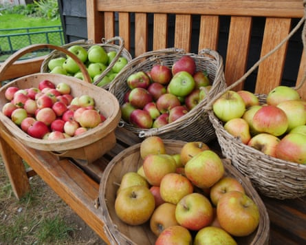 Baskets of apples on a bench