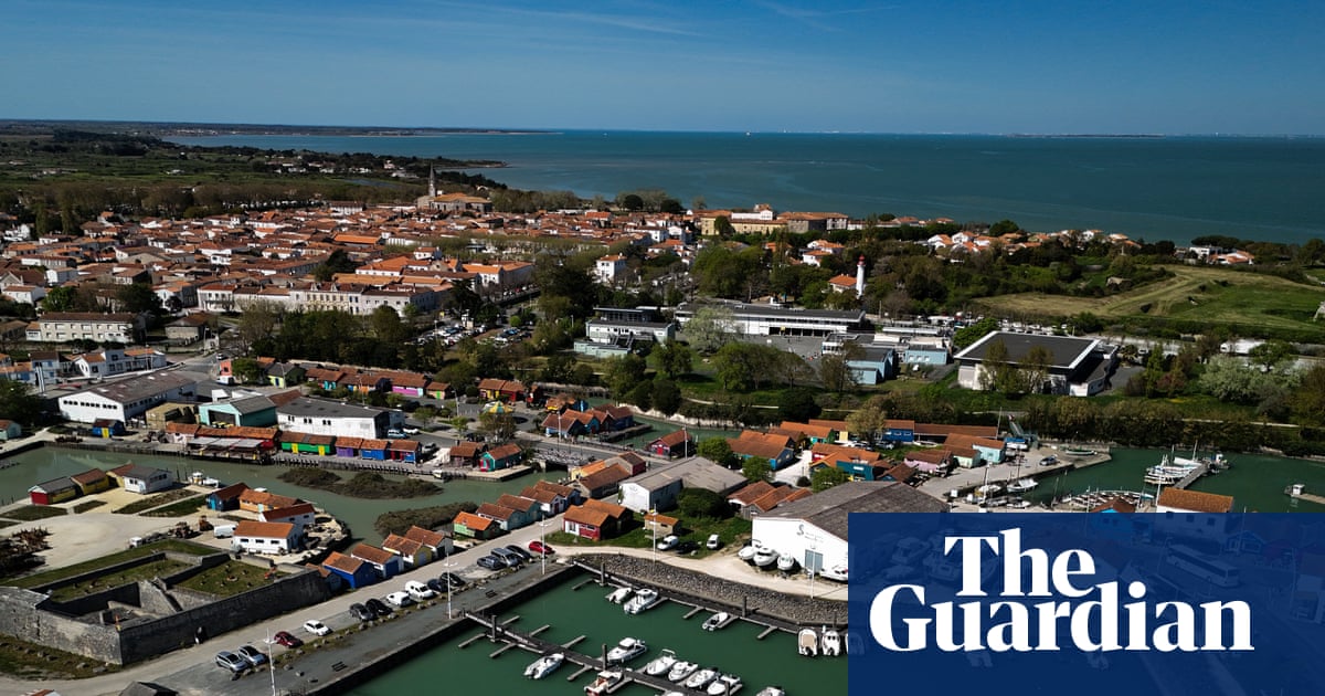 Several injured after man ‘deliberately’ drives car into people on French island