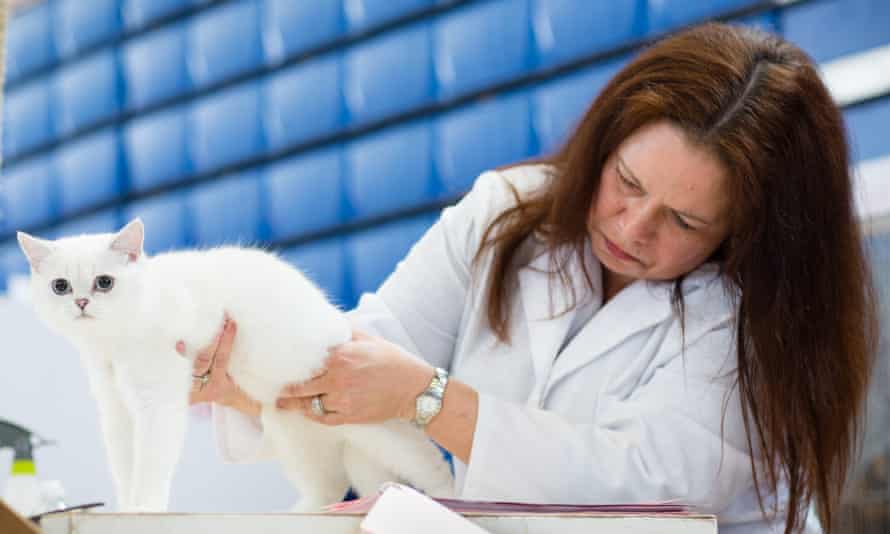 An LCWW judge inspects a contestant