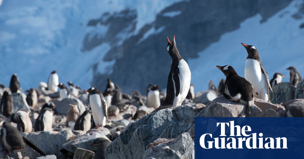 Campaign to save oceans maps out global network of sanctuaries | Environment | The Guardian