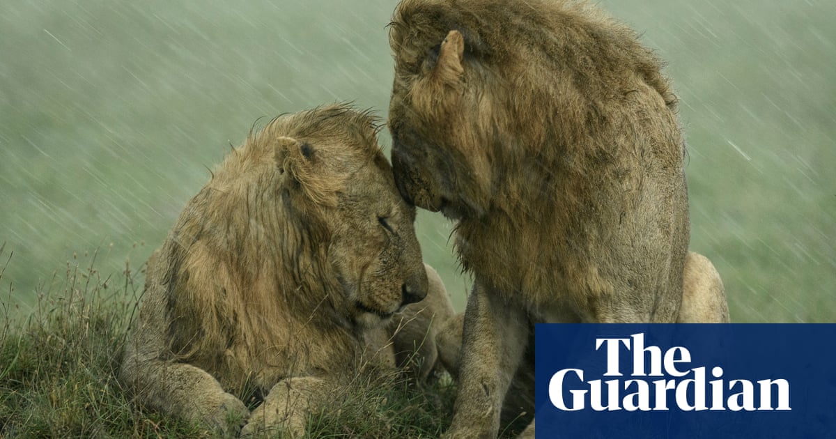 2021 Wildlife Photographer of the Year – People’s Choice Award