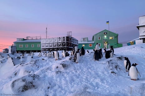 A rose-tinted sky behind an Antarctic base with penguins in the foreground.