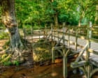 TravelWireDaily — Winnie-the-Pooh’s 100th birthday is a great excuse to explore the Sussex forest that inspired the books
