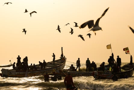 Seagulls fly above fishing boats as the sun sets.
