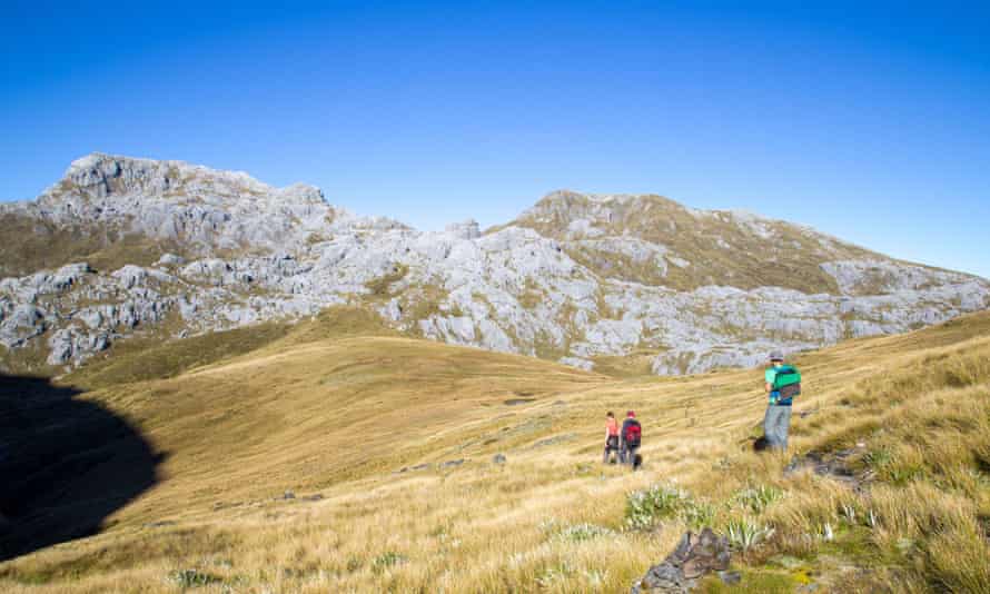 Hikers in Kahurangi National Park, New Zealand