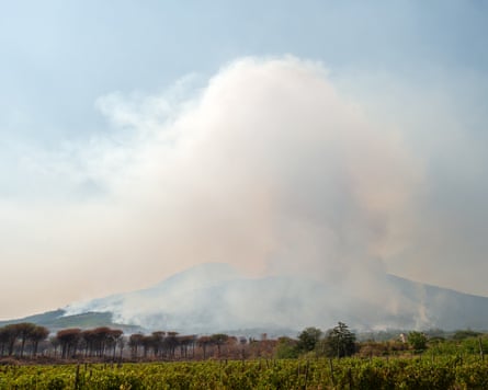 Flames and smoke rise from a wildfire at the Vesuvius national park in Terzigno