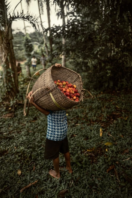 Child carries a basket full of pupunha on his shoulders