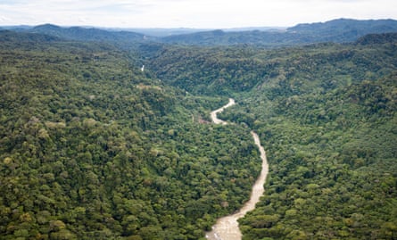 A river running through a rainforest with mountains in the distance.