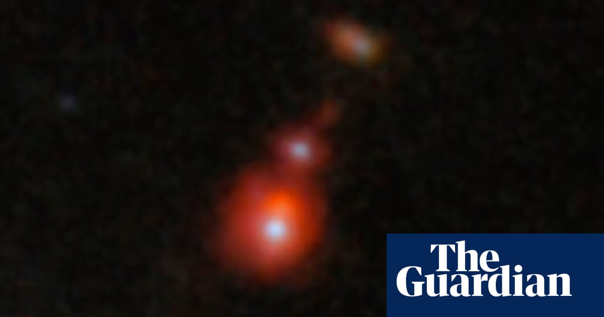 www.theguardian.com
