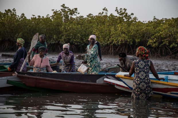 gambian-women gambian-women