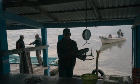 A merchant weighs shrimp while fishermen talk and arrive to sell product by the edge of a lagoon in Tamiahua, Veracruz, on 27 February. 