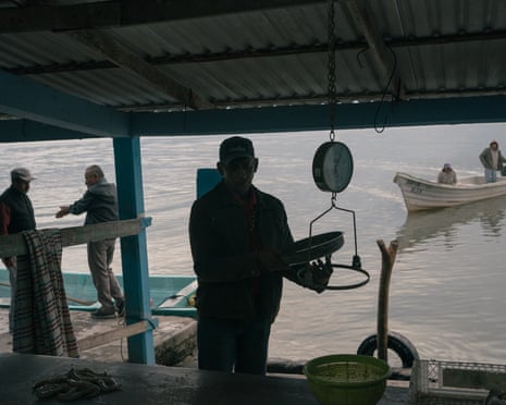 TAMIAHUA, VERACRUZ. FEBRUARY 27: A merchant weighs shrimp while fishermen talk and other ones arrive to sell their product by the edge of a lagoon in Tamiahua, Veracruz. The decline of fish and seafood has deeply affected communities in the Gulf of Mexico that have depended on its trade and self-consumption for many generations. Photograph: Luis Antonio Rojas/ The Guardian
