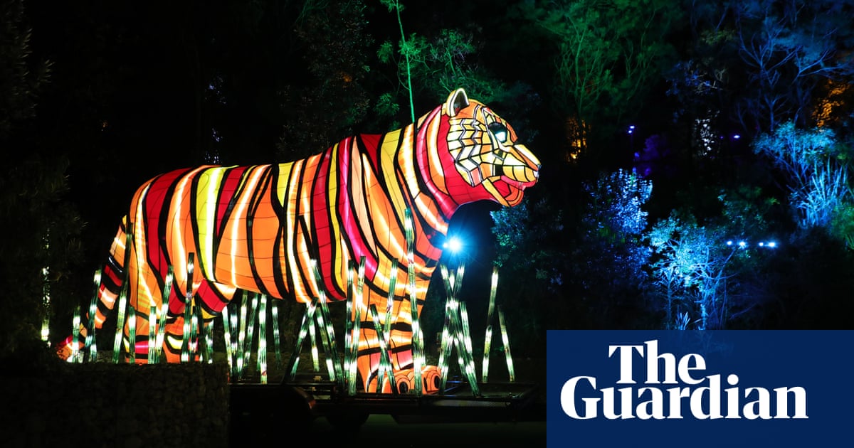 Art installation lights up Sydney's zoo in pictures