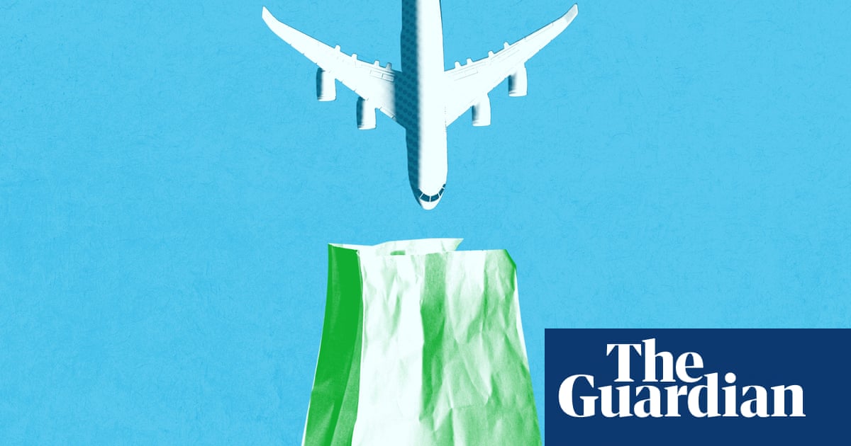 Delays, deodorant and ripped up carpet: how airlines handle mid-flight 'biological hazards'