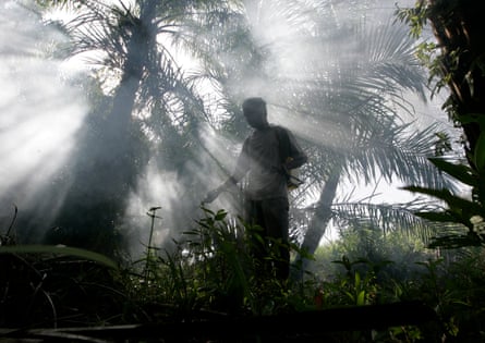 A silhouetted person sprays pesticide in a field