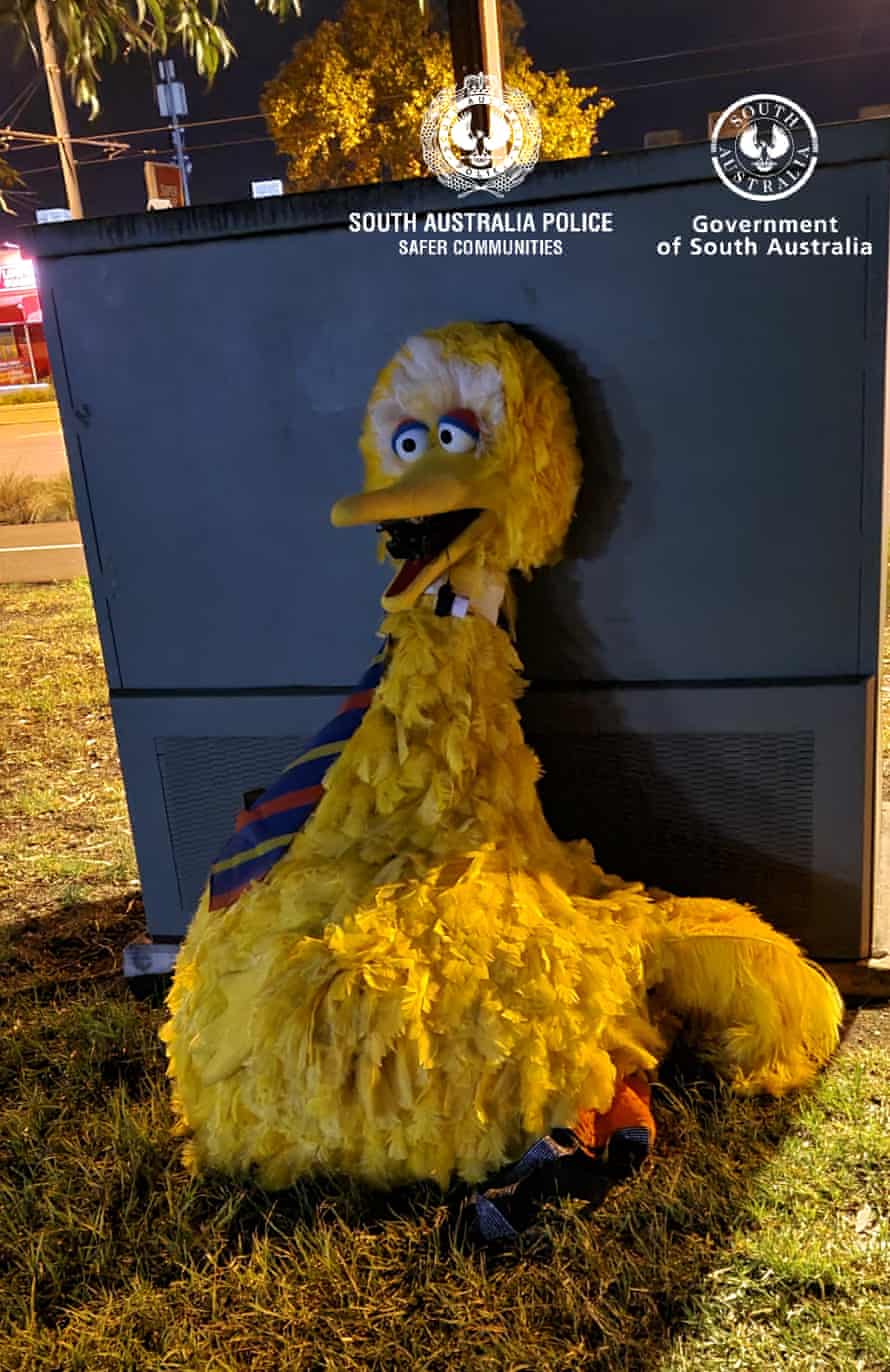 Il completo rubato di Big Bird