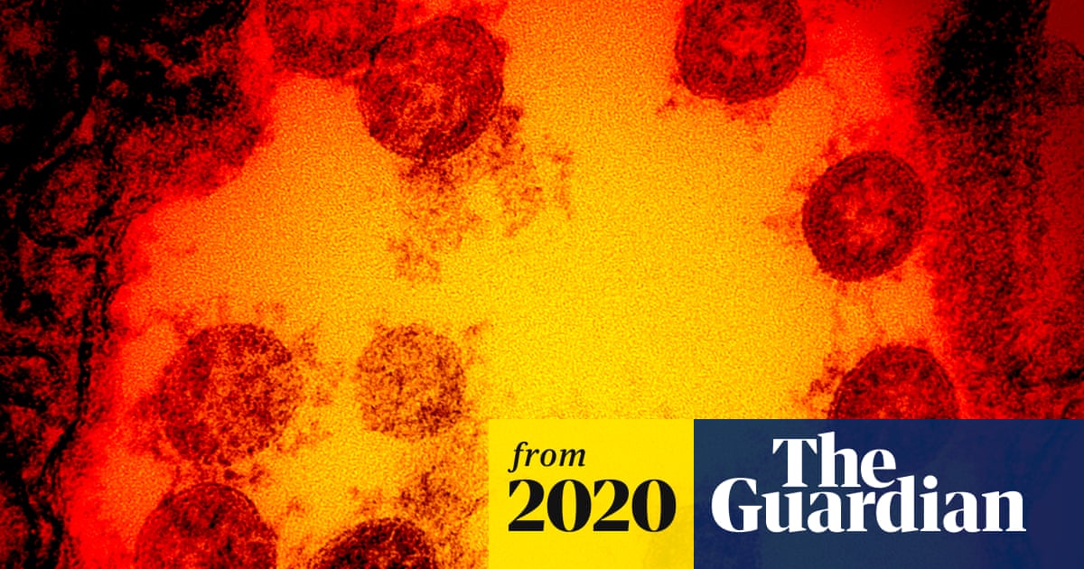www.theguardian.com
