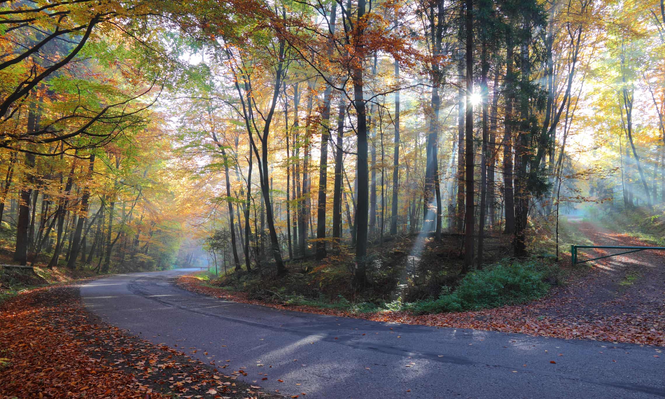 Poland, Ojcow national park in autumn.