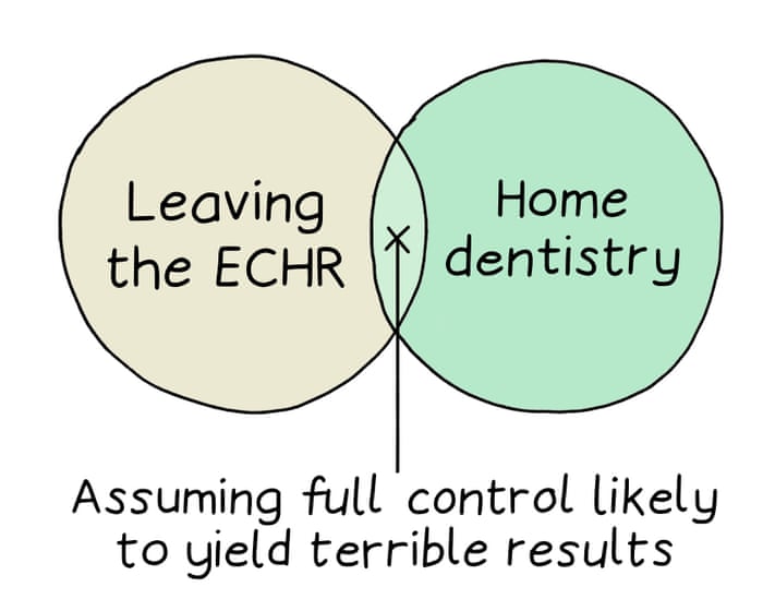 From leaving the ECHR to home dentistry: Edith Pritchett’s week in Venn diagrams – cartoon