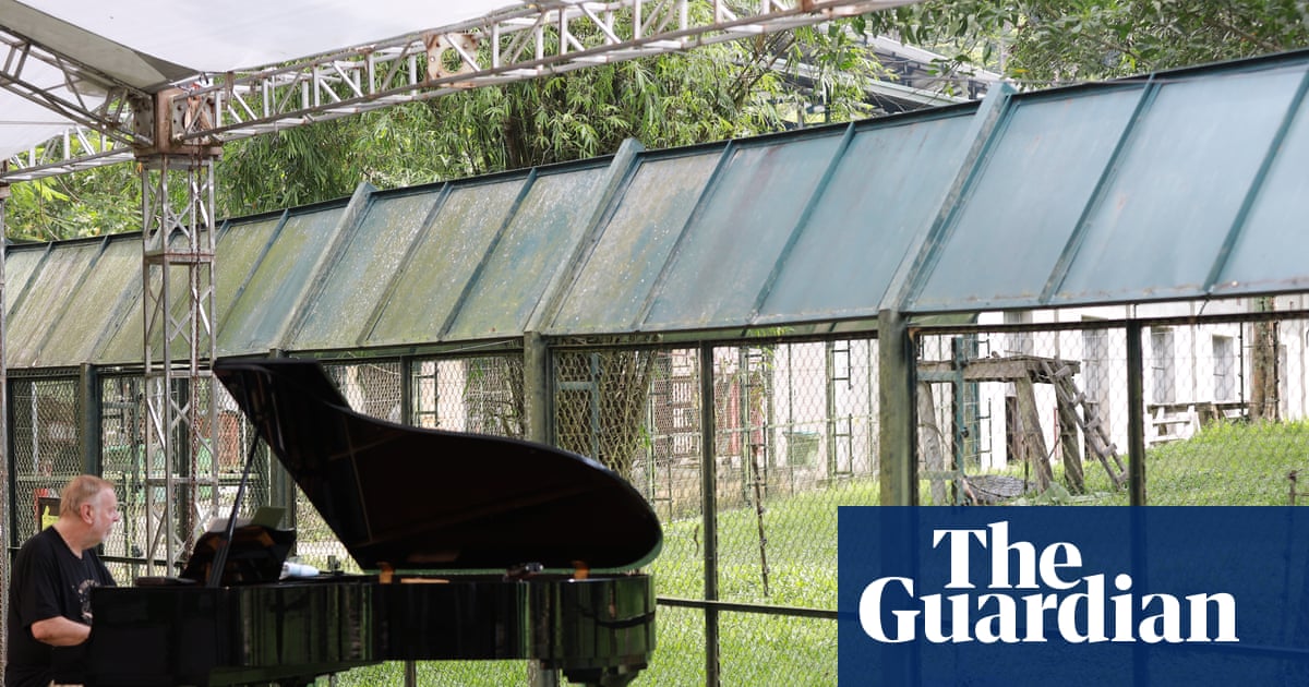 Rescued bears enjoy private piano concert – video