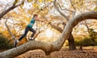 Arbouring offenders: Italian town’s tree-climbing ban prompts outcry
