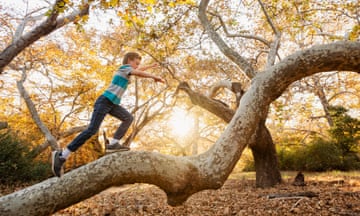 Boy running on a tree trunk