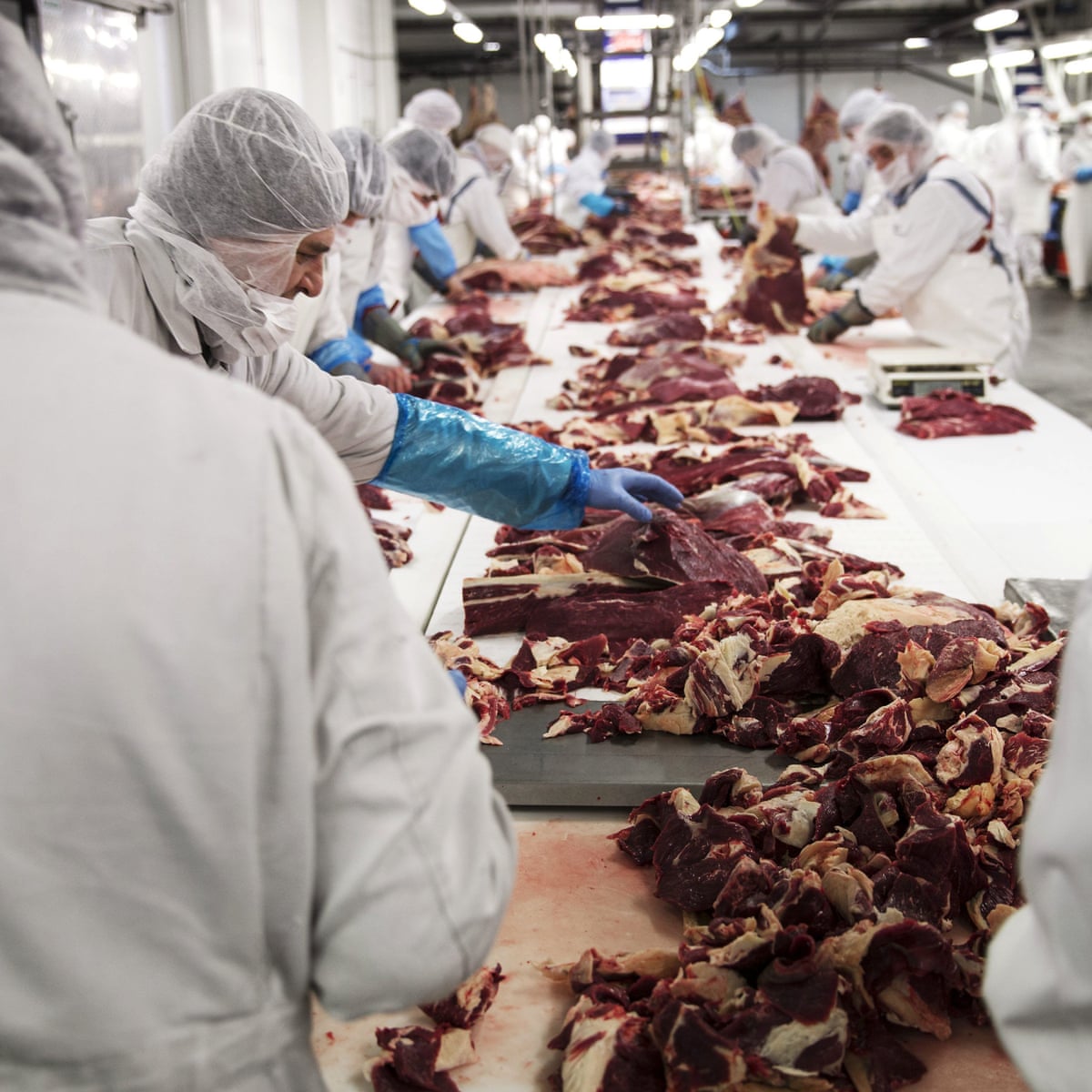 The whole system is rotten': life inside Europe's meat industry | Meat  industry | The Guardian