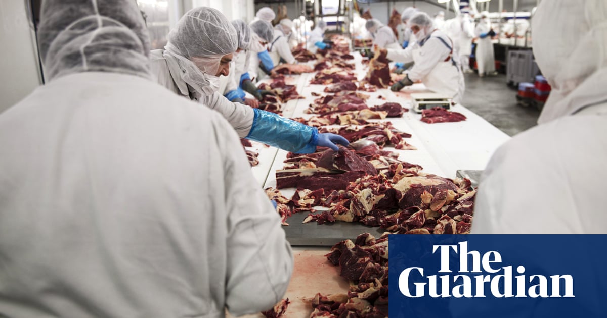 ‘The whole system is rotten’: life inside Europe’s meat industry