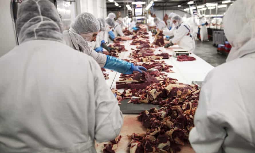 Un abattoir en Roumanie