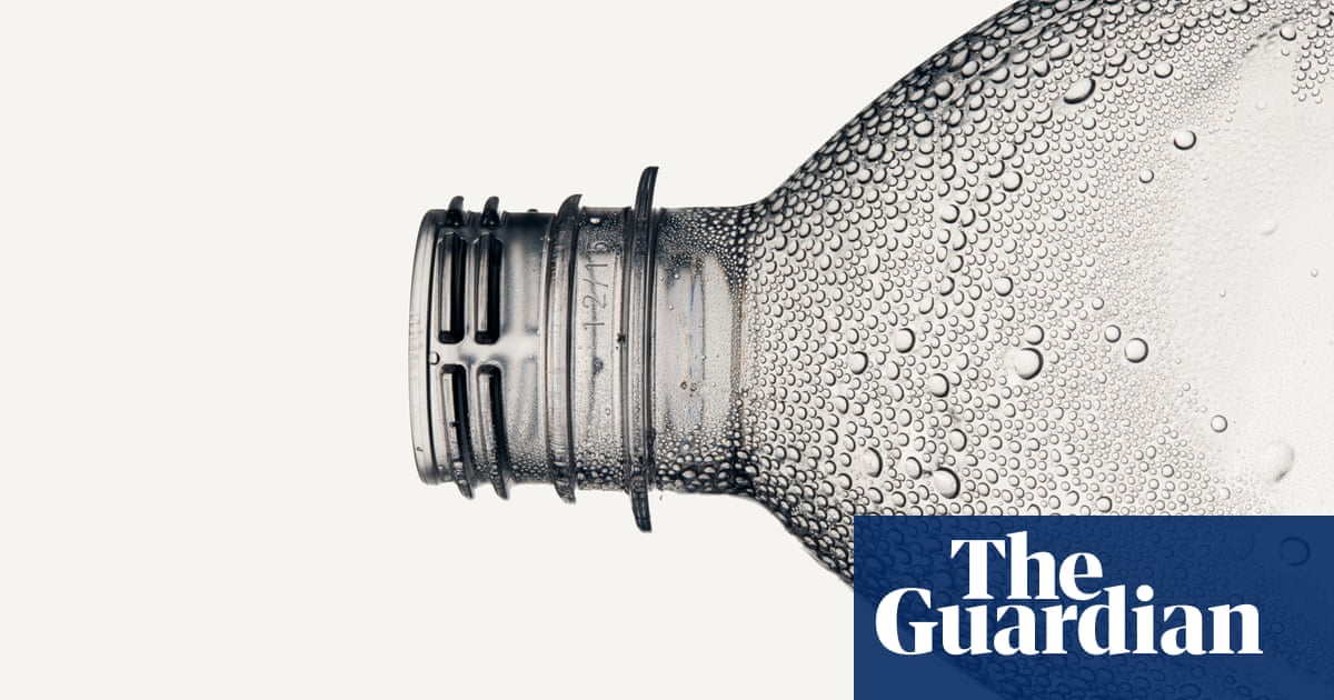 Liquid assets: how the business of bottled water went mad | Sophie Elmhirst