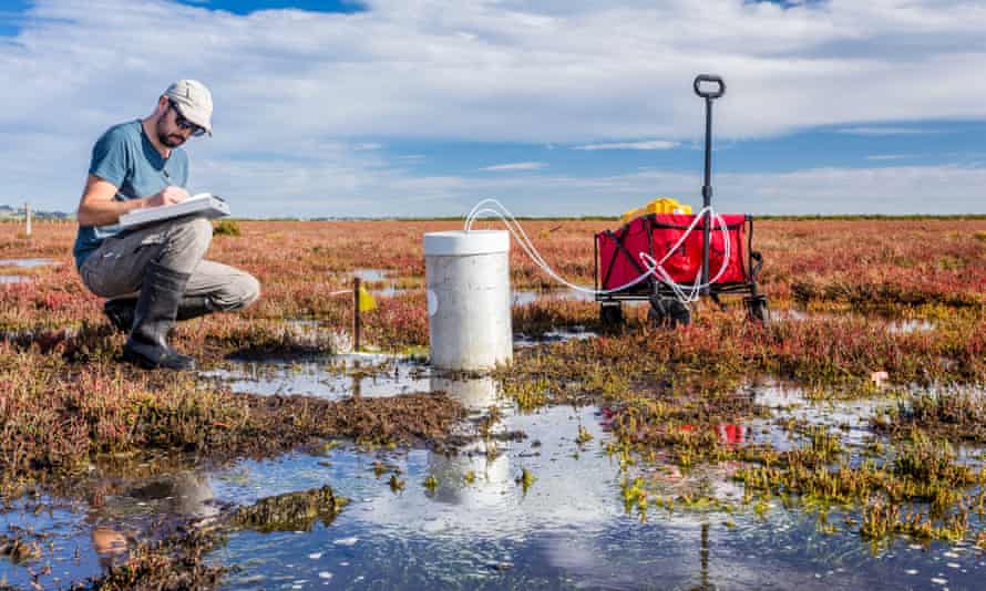 Scientist measuring greenhouse gas emissions at a wetland