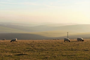 Lost horizons“A veil of mist descends over the South Downs at Firle Beacon on a cold, frosty 22 January.”
