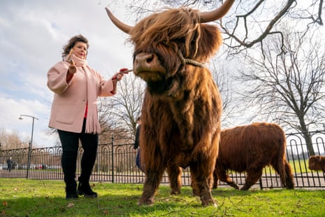 Actress Elaine C Smith grazes Siusan, the Highland cow, on Glasgow Green to mark being given the Freedom of the City of Glasgow in March 2025
