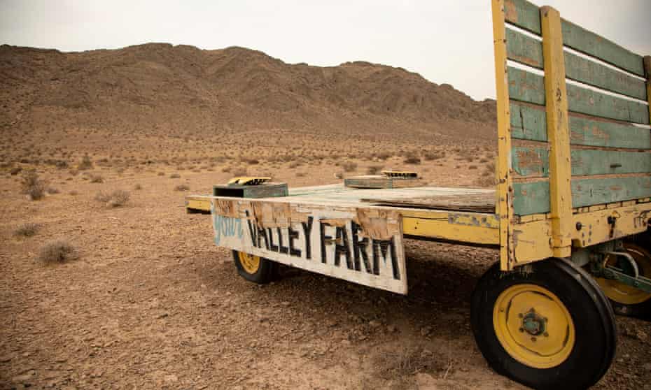 A family-owned pig farm that’s operated in the city for generations has been pushed farther out into the desert.