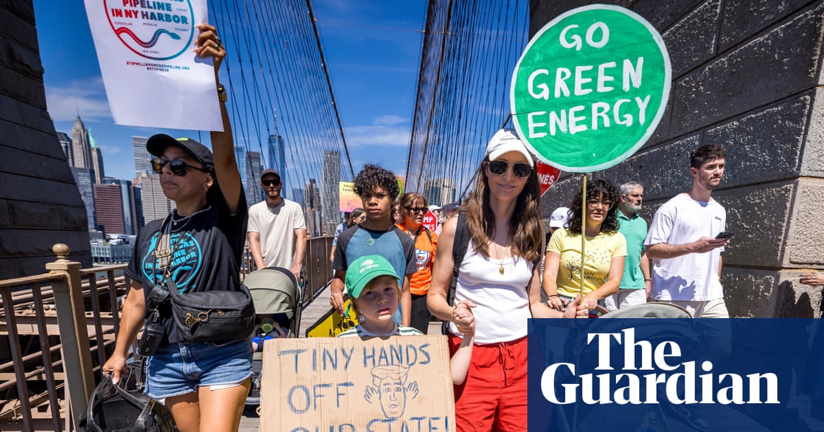 Sun day': US climate activists to rally for clean energy amid Trump attacks