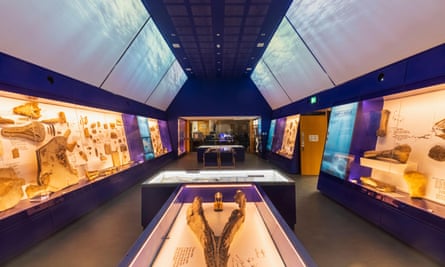 A room at the Etches Museum of jurassic marine life.