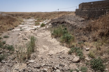 A dry riverbed in a grassy dry landscape