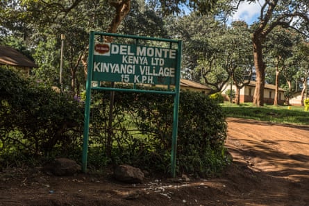 A green sign say Del Monte Kenya Ltd Kinyagi village 15 kph in a wooded area with a house in the background