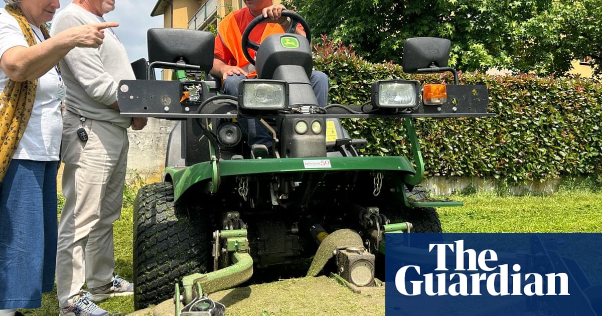 You feel useful to society': Italy's busybody pensioners go professional